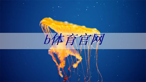 運動場地升級計劃：塑膠跑道材料業(yè)務(wù)開啟新時代！