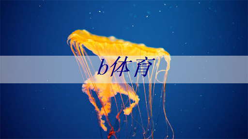 揭開(kāi)神秘面紗：深入了解塑膠跑道材料各分類！